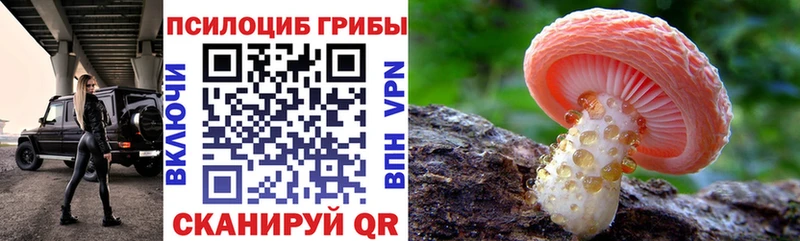 Галлюциногенные грибы прущие грибы  Купить  Ростов 